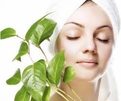 Ayurvedic Skin Care