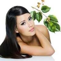 Herbal Hair Loss Product