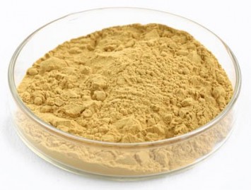 Milk Thistle Extract, 60%-85% Silymarin, 98% Silybin