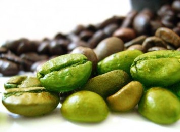 Green Coffee Beans Extract, 40%-90%, 95% Chlorogenic Acid