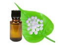 Camphor Oil