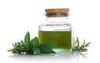 Mint Oil