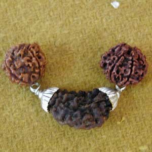 Rudraksha Pendants