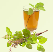 Tulsi Juice