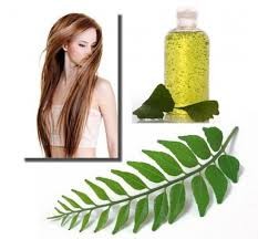 Herbal Hair Oil