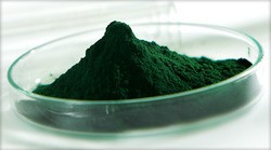 Spirulina Powder