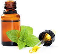 Peppermint Oil