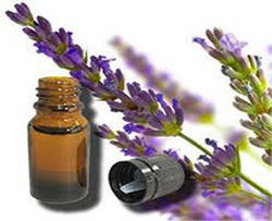 Lavender Oil