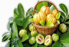 Noni Extract