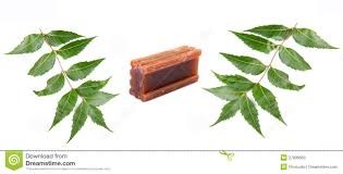 Neem Soap