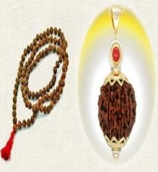 Rudraksha Beads