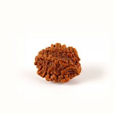 Rudraksha Beads