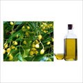 Neem Oil