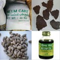 Neem products