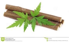 Neem leaves