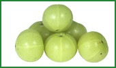 Amla Powder