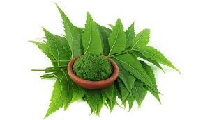 Neem powder