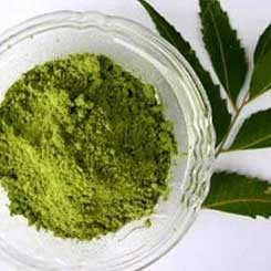 Neem powder