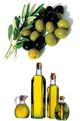 Olive Oil