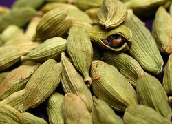 Cardamom Oil