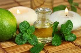 Mint Oil