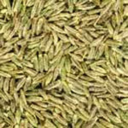 Cumin Oil