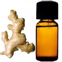 Ginger Oil