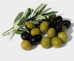 Olive Oil