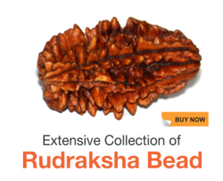 Rudraksha Beads