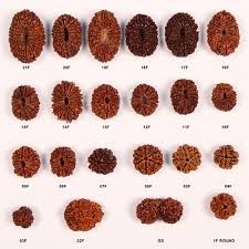 Rudraksha Beads