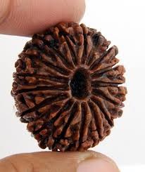 Rudraksha Beads