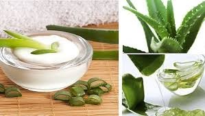 Aloe Vera Cosmetics