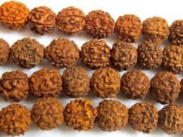 Rudraksha Beads