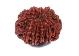 Rudraksha Beads