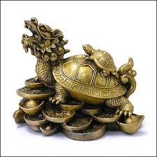 Dragon Headed Tortoise With Baby