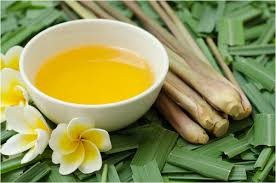 Citronella Oil