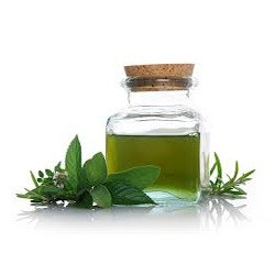 Peppermint Oil