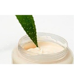 Aloe Vera Cream