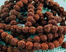 Rudraksha Beads