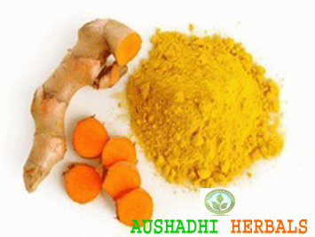 Curcumin Extract