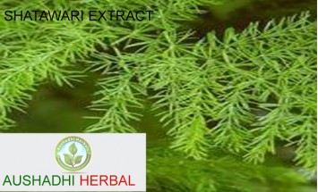 Shatavari Extract