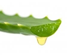 Aloe Vera Juice