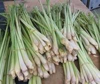 LemonGrass Oil