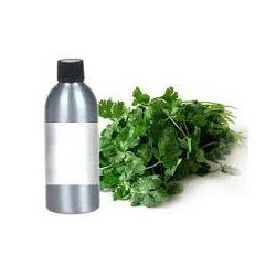 Coriander Oil