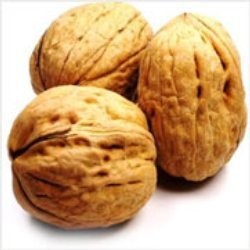 Walnut Oil