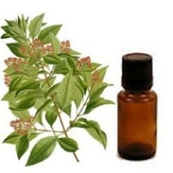 Sandalwood Oil