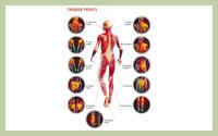 Trigger Point Therapy