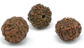 Rudraksha Beads