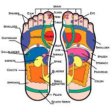 Reflexology