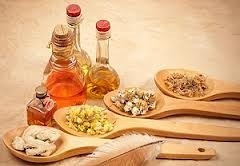 Ayurveda Courses